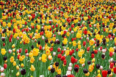 《荒野大镖客2》高清材质包 让地面和岩石更真实