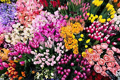 Gearbox Software老大Pitchford卸任 将专注电影和电视