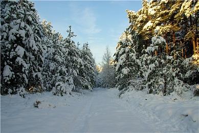 虚幻引擎5.1自制经典FPS游戏《血祭》初始场景