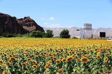 2023年2月Steam Deck热门游戏排行：《霍格沃茨之遗》登顶